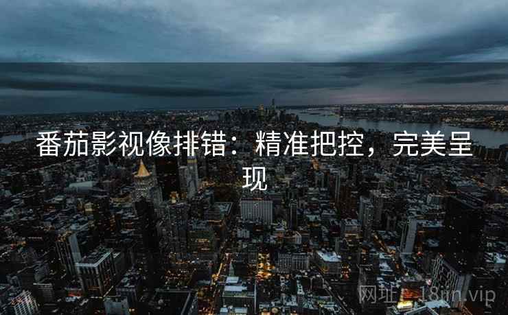 番茄影视像排错:精准把控,完美呈现